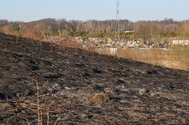 Płoną trawy!