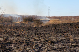 Płoną trawy!
