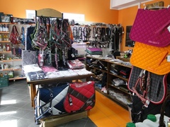 MGarden – Twój ogród naszą pasją!