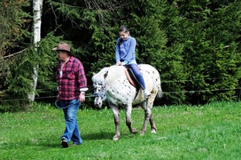 Lew Gigant i inne atrakcje