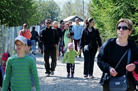 Lew Gigant i inne atrakcje