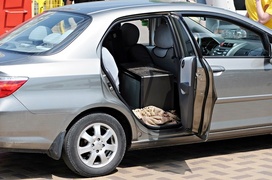 Rośliny za baterie, nakrętki i makulaturę