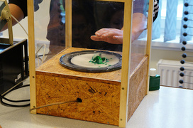 „Mali Einsteini” odkrywają świat