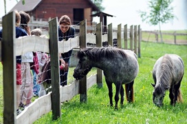 Nie różnimy się niczym, poza wielkością