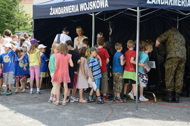 Hitem były kajdanki i Tedi