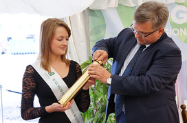 Jest wielka dziura w ziemi, będzie wielka galeria