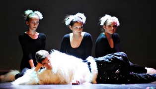 Koncert Galowy Broadway 2013 za nami