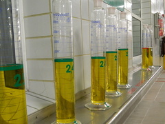 Na piwnych ścieżkach browaru