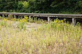 Kiedyś Mała Krynica Morska, a dziś...