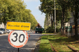 Będzie bezpieczniej - bez lipy