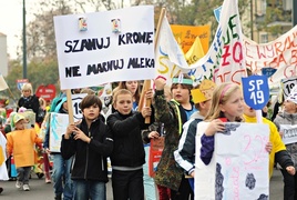 Kupujemy za dużo