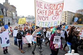 Kupujemy za dużo