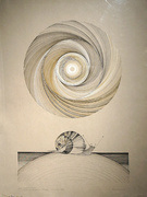 Wszyscy jesteśmy matematyczni