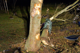 Kazimierzowo: ciężarówka w rowie Kazimierzowo: ciężarówka w rowie