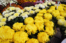 Każdy znicz ma swojego klienta