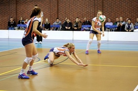 Koniec Pucharowej przygody Orła (siatkówka)