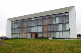 Co się wykluje w tym inkubatorze?