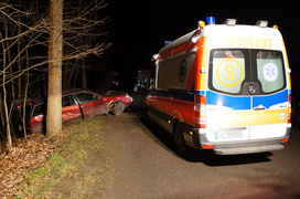 Królewiecka: passatem w drzewo zdjęcie nr 79202