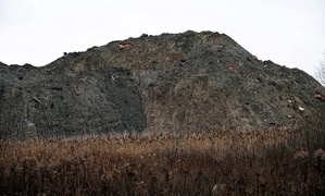 Modrzewina zawalona gruzem