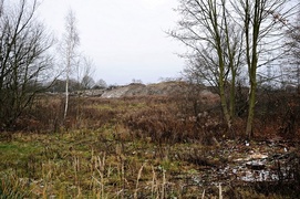 Modrzewina zawalona gruzem