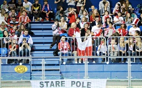 Polska wygrała z Brazylią (piłka ręczna)