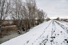Woda się podnosi, strażacy są w Nowakowie