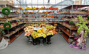 Piękno pachnące kwiatami