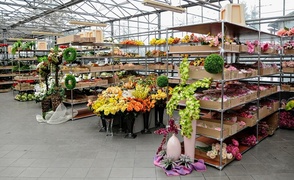 Piękno pachnące kwiatami