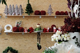 Piękno pachnące kwiatami