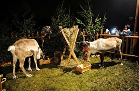 Rudolf i Profesor z wizytą u przedszkolaków