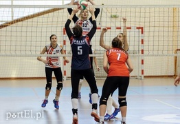 Dobra passa Orła trwa (siatkówka)