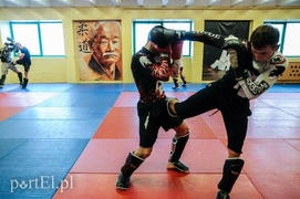 Seminarium z mistrzem (kickboxing)