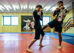 Seminarium z mistrzem (kickboxing)