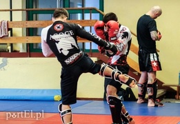 Seminarium z mistrzem (kickboxing)