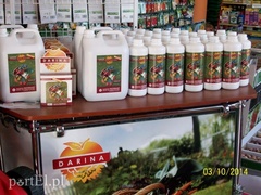 Najlepsze ceny na wiosnę