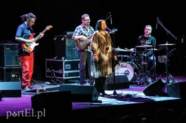 Dama o melancholijnej duszy i czarnym głosie