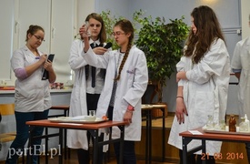 Nie na wagary, a do szkoły