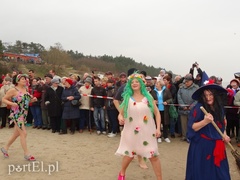 Morsy pożegnały zimę