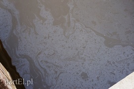 Plama oleju na rzece Elbląg
