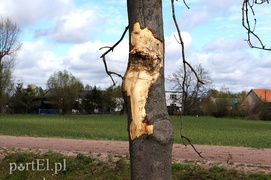 Ciężarówka w rowie