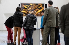 Między zabawą a sztuką