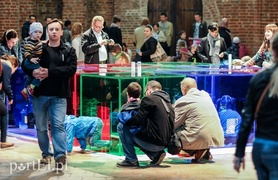 Między zabawą a sztuką