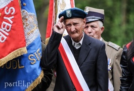 Dzień Zwycięstwa, maj zielony...