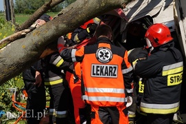 Kazimierzowo: ciężarówką w drzewo