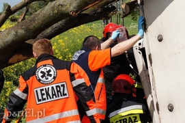 Kazimierzowo: ciężarówką w drzewo