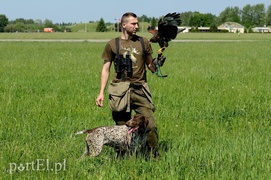 Skrzydlaci ochroniarze