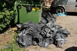 Bema 33: tutaj rządzą gołębie i robactwo