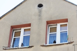 Bema 33: tutaj rządzą gołębie i robactwo