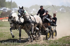 Piknik Zaprzęgowy w Piastowie