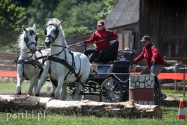 Piknik Zaprzęgowy w Piastowie